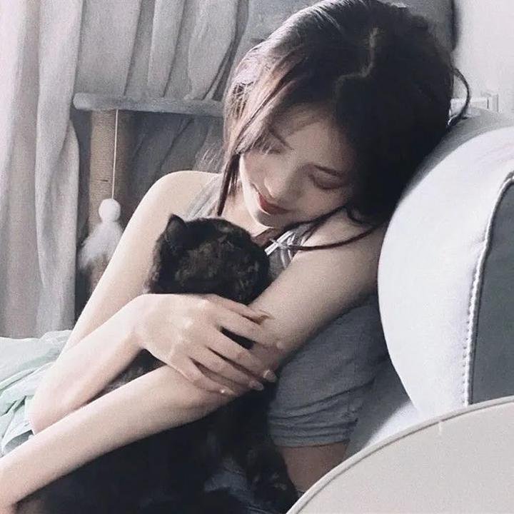 托梅斯的导盲犬